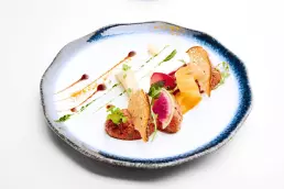 plate food photography tartare colors